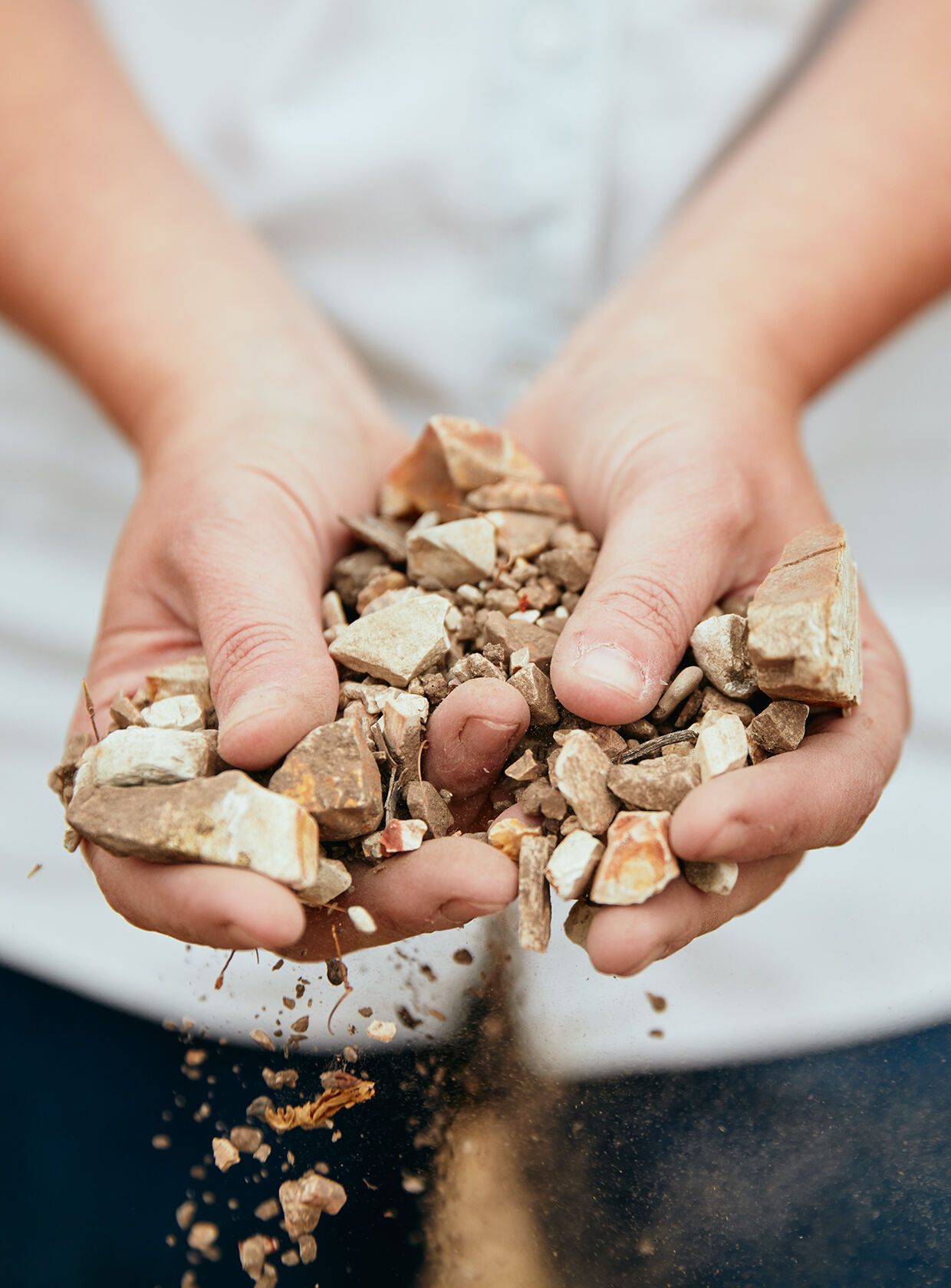 A close up of a person's hands holding rock and soil from a vineyard