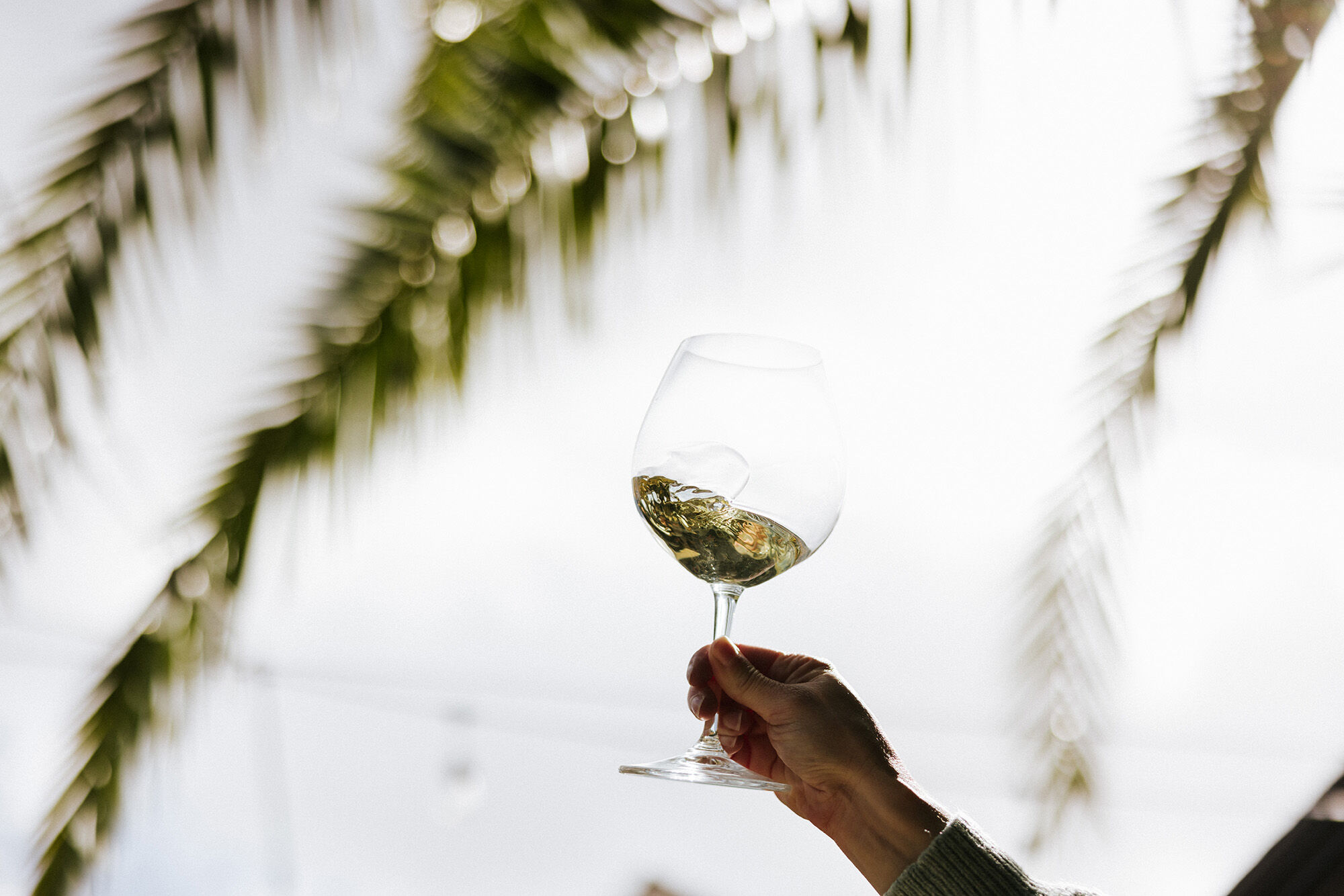Cambria Katherine's Chardonnay in a glass