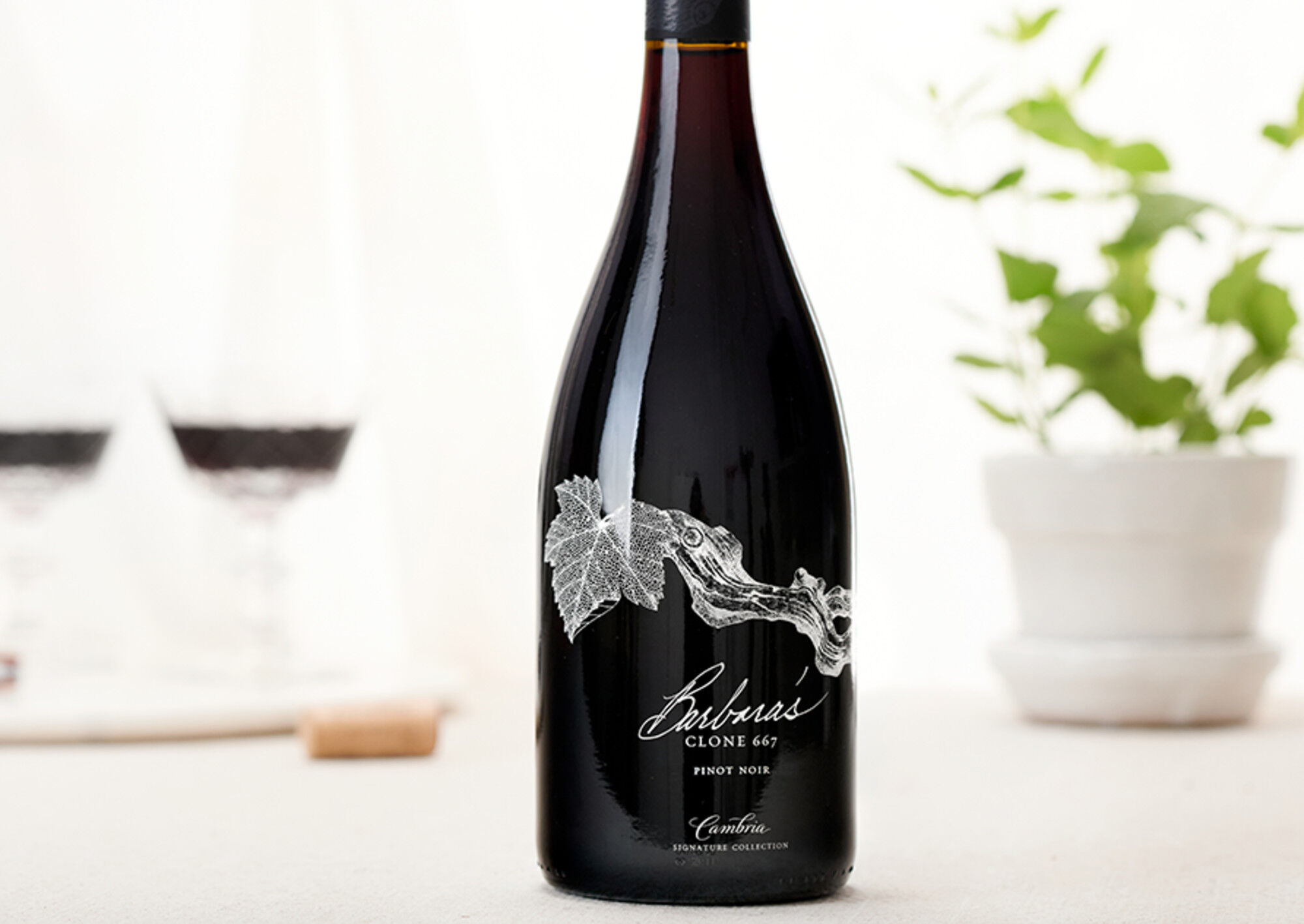 Barbara's Signature Pinot Noir