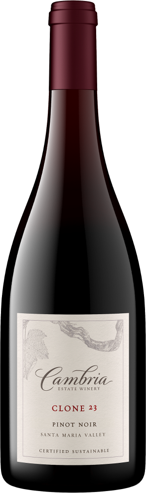 Clone 23 Pinot Noir