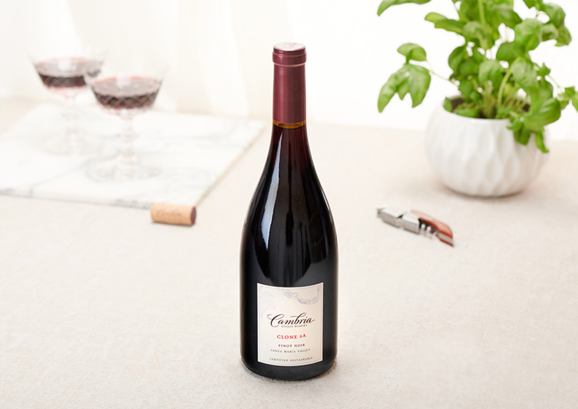 Clone 2A Pinot Noir